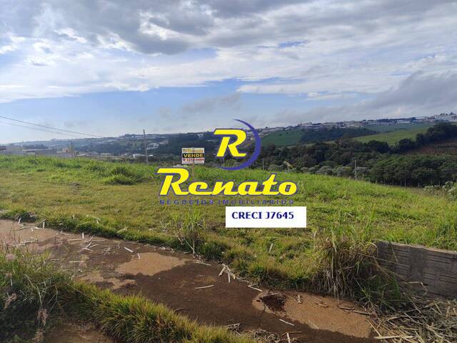 #6657 - Terreno para Venda em Arapongas - PR - 3