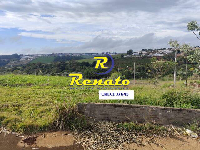 Terreno para Venda em Arapongas - 4