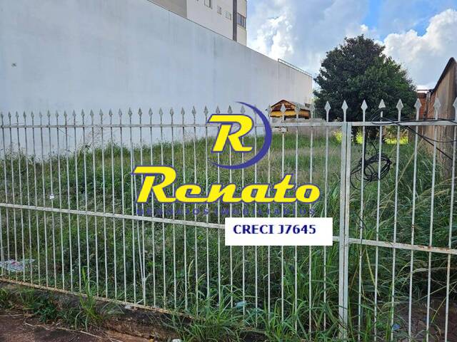 #6667 - Terreno para Venda em Arapongas - PR - 3