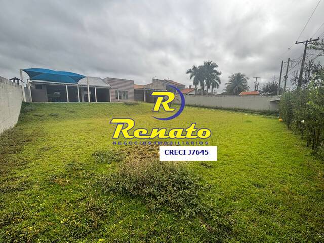 #6687 - Chácara para Venda em Sertanópolis - PR - 3
