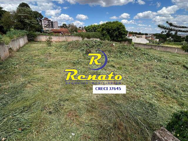 #6696 - Terreno para Venda em Arapongas - PR - 2