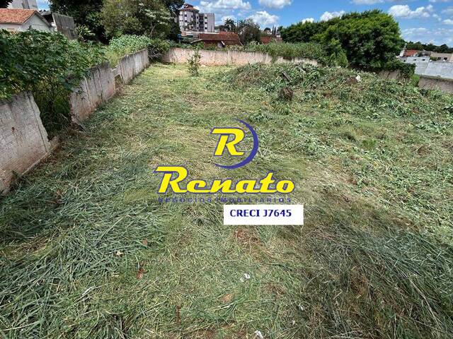 #6696 - Terreno para Venda em Arapongas - PR - 3