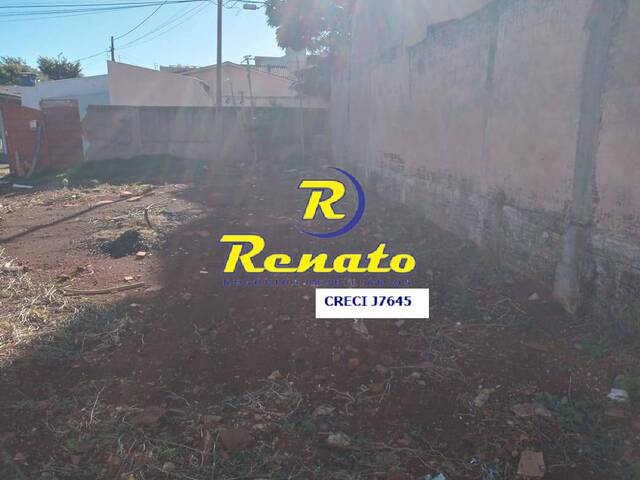 #6703 - Terreno para Venda em Arapongas - PR - 3