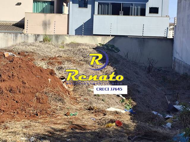 #6741 - Área para Venda em Arapongas - PR - 2