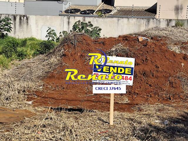 #6741 - Área para Venda em Arapongas - PR - 3