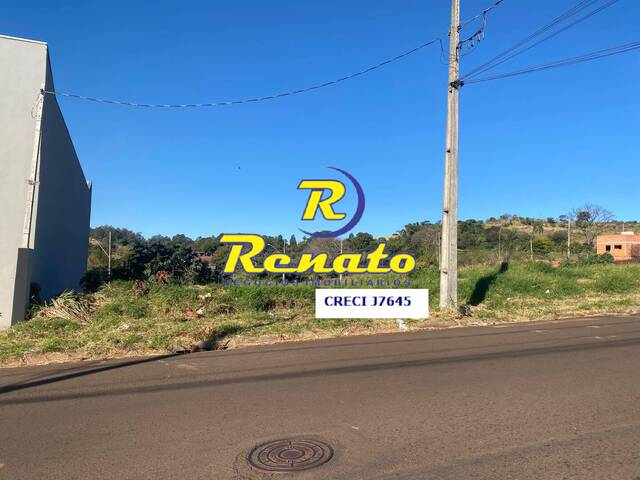#6746 - Terreno para Venda em Arapongas - PR - 1