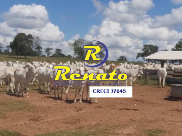 #6747 - Fazenda para Venda em Coxim - MS - 2