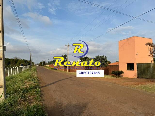 #6769 - Chácara para Venda em Arapongas - PR - 3
