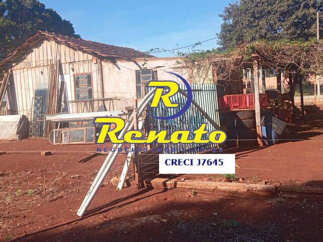 #6787 - Chácara para Venda em Arapongas - PR - 1