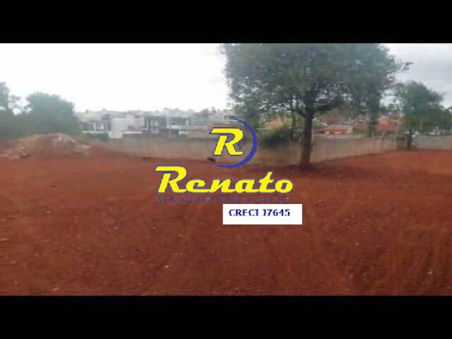 #6803 - Área para Venda em Arapongas - PR - 1