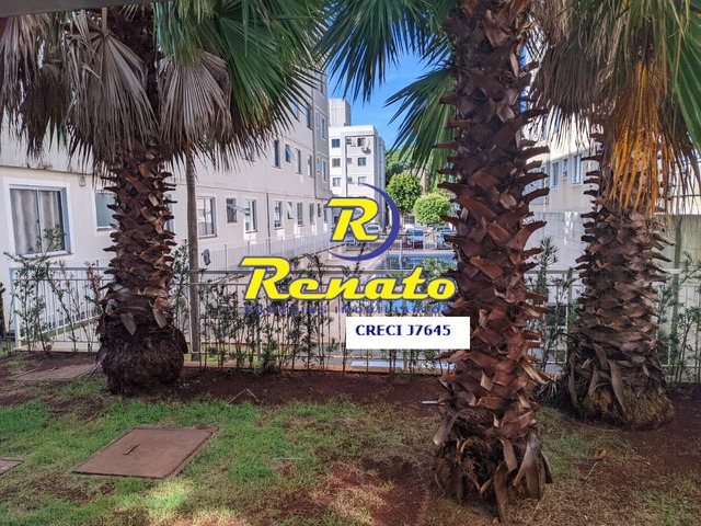 #6807 - Apartamento para Venda em Arapongas - PR - 2