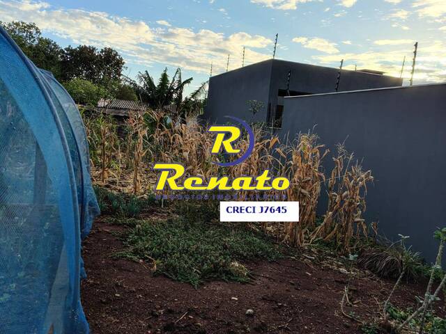Terreno para Venda em Arapongas - 5