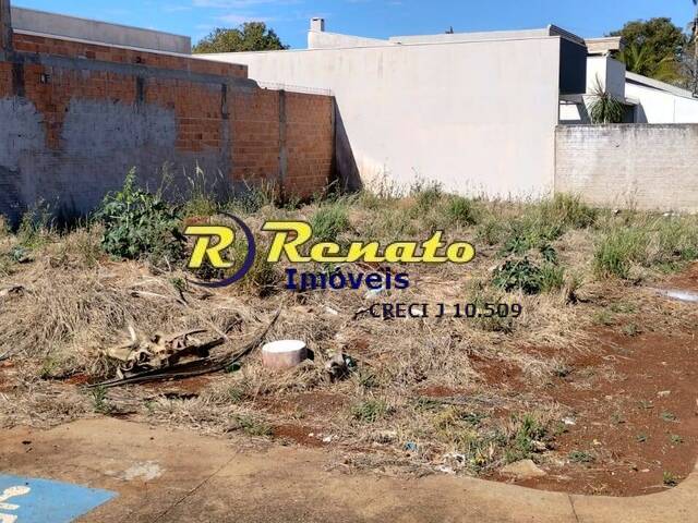#6823 - Terreno para Venda em Arapongas - PR - 1
