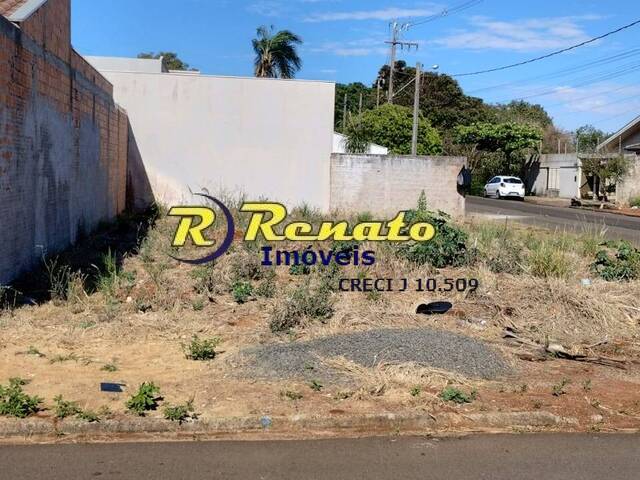 #6823 - Terreno para Venda em Arapongas - PR - 3