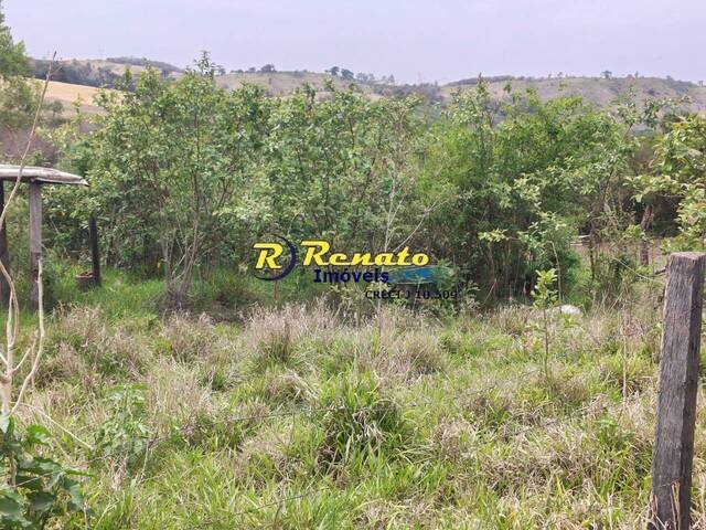 #6844 - Chácara para Venda em Arapongas - PR - 1