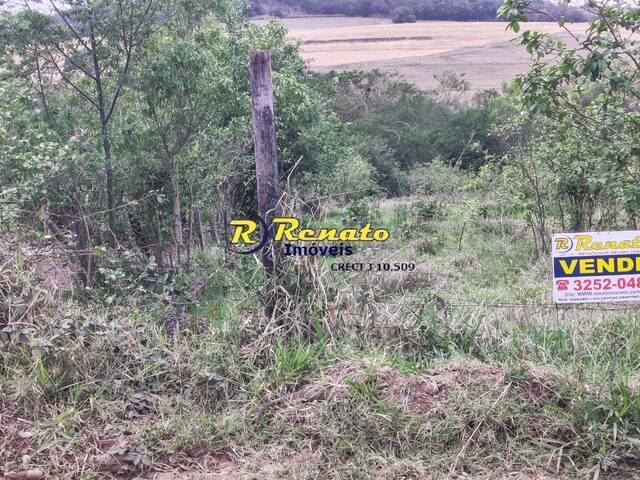 #6844 - Chácara para Venda em Arapongas - PR - 3