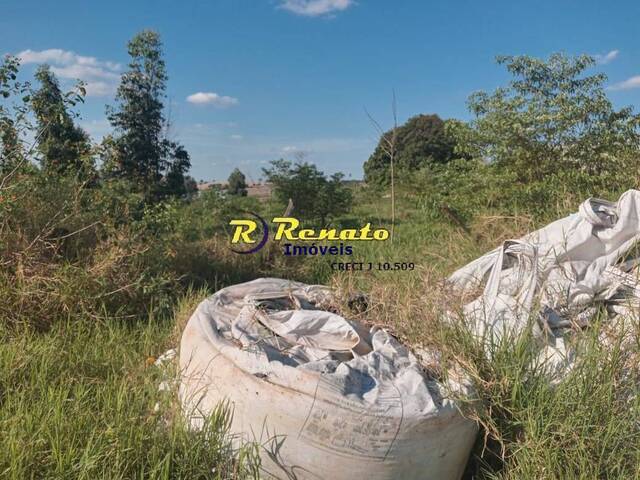 Terreno para Venda em Arapongas - 5