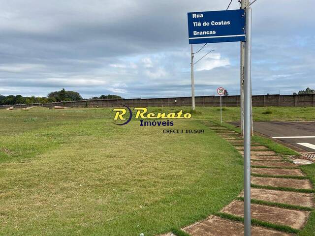 #6866 - Terreno para Venda em Arapongas - PR - 2
