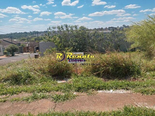 #6874 - Terreno para Venda em Arapongas - PR - 1
