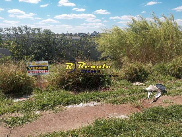 #6874 - Terreno para Venda em Arapongas - PR - 2