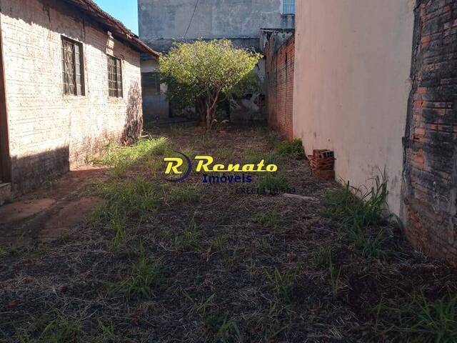 Venda em Jardim Panorama - Arapongas