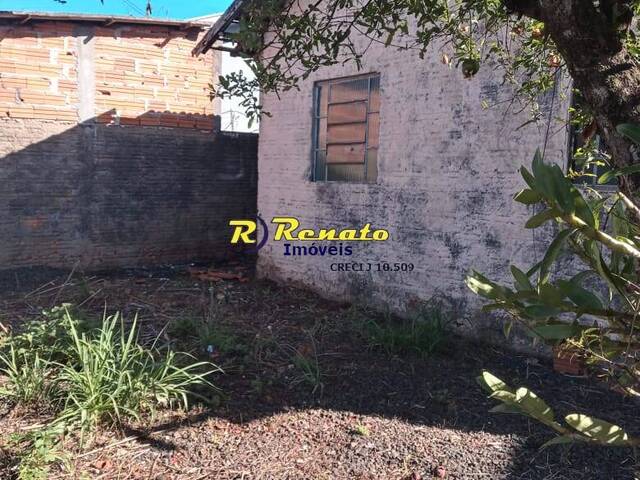 #6875 - Terreno para Venda em Arapongas - PR - 3