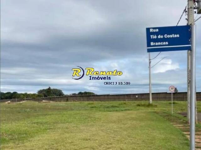 #6880 - Área para Venda em Arapongas - PR - 3