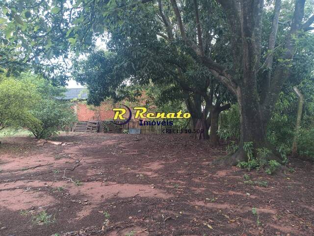 #6890 - Chácara para Venda em Arapongas - PR - 3