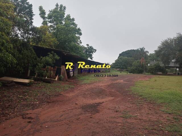 #6890 - Chácara para Venda em Arapongas - PR - 3