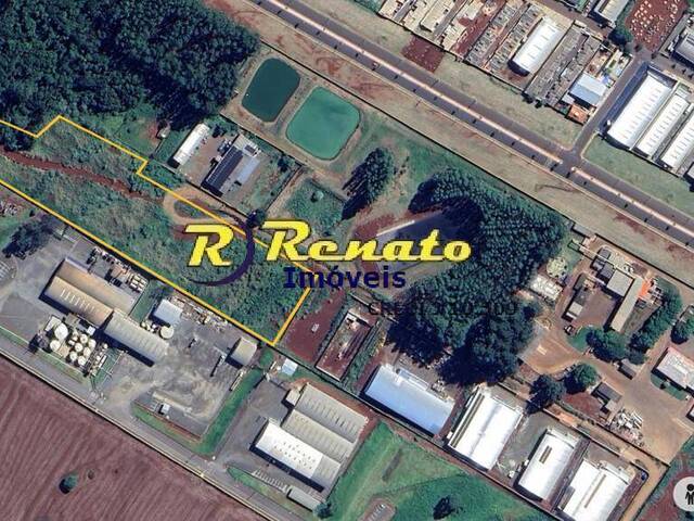 Venda em Parque Industrial II - Arapongas