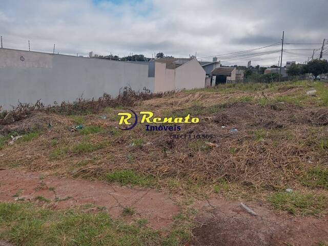 #6897 - Terreno para Venda em Arapongas - PR - 3