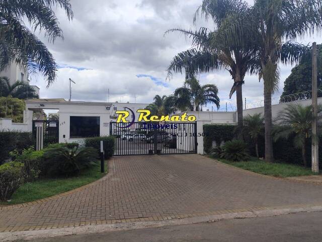 #6898 - Apartamento para Venda em Arapongas - PR - 3