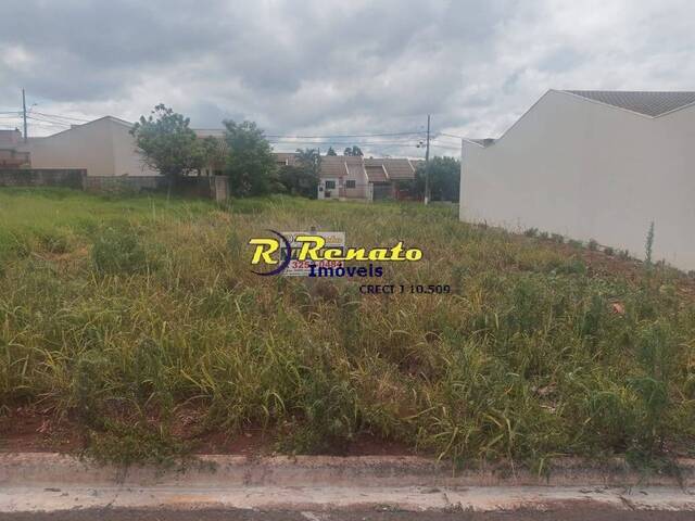 #6903 - Terreno para Venda em Sabáudia - PR - 1