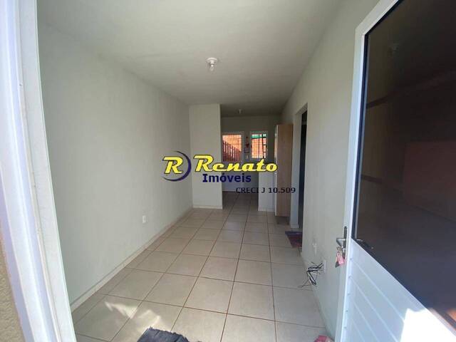 #6913 - Casa para Locação em Arapongas - PR - 3