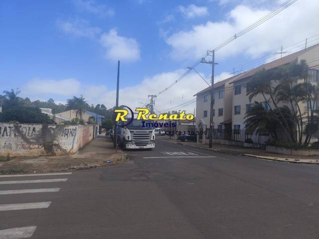 #6931 - Área para Venda em Arapongas - PR - 3