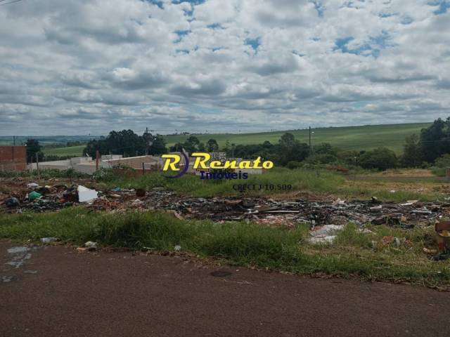 #6938 - Área para Venda em Arapongas - PR - 1