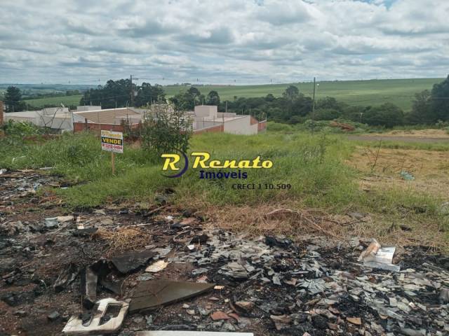 #6938 - Área para Venda em Arapongas - PR - 2