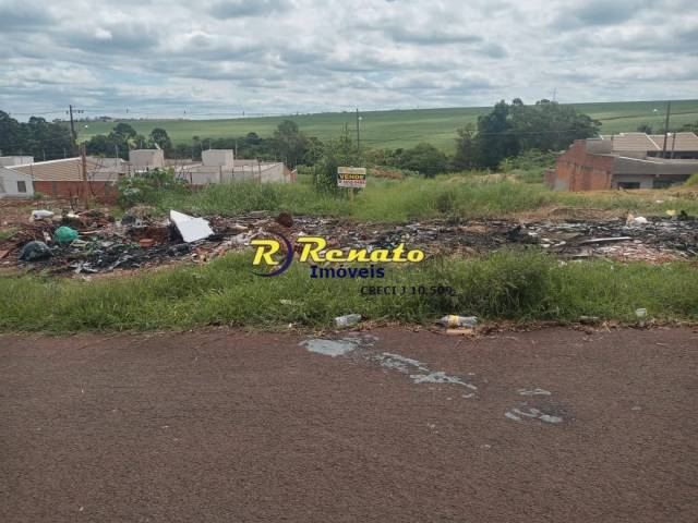 #6938 - Área para Venda em Arapongas - PR - 3