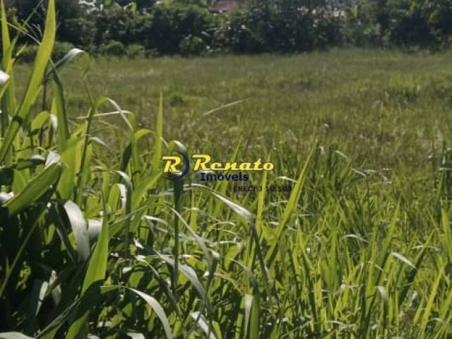 #6941 - Terreno para Venda em Arapongas - PR - 1