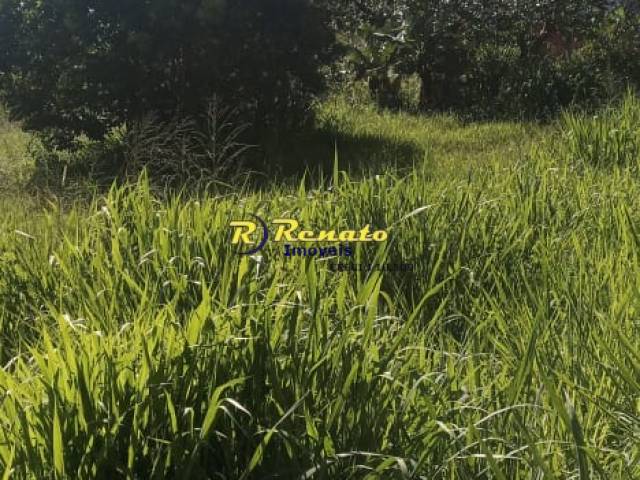 #6941 - Terreno para Venda em Arapongas - PR - 2