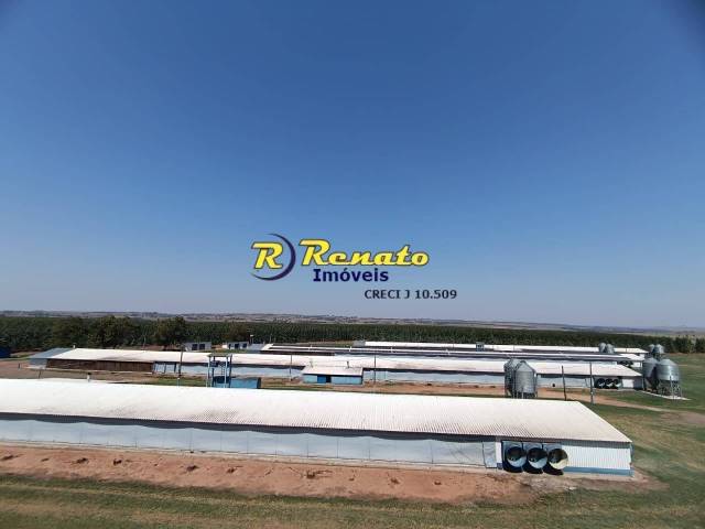 #6946 - Fazenda para Venda em Arapongas - PR - 2