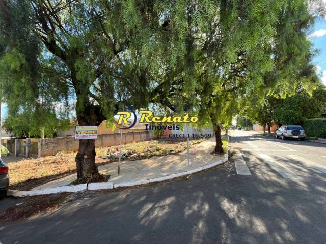 #6976 - Área para Venda em Arapongas - PR - 1