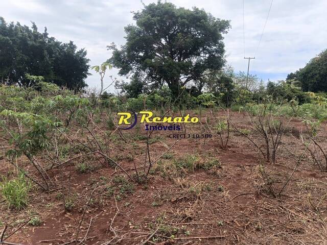 #7019 - Chácara para Venda em Arapongas - PR - 3