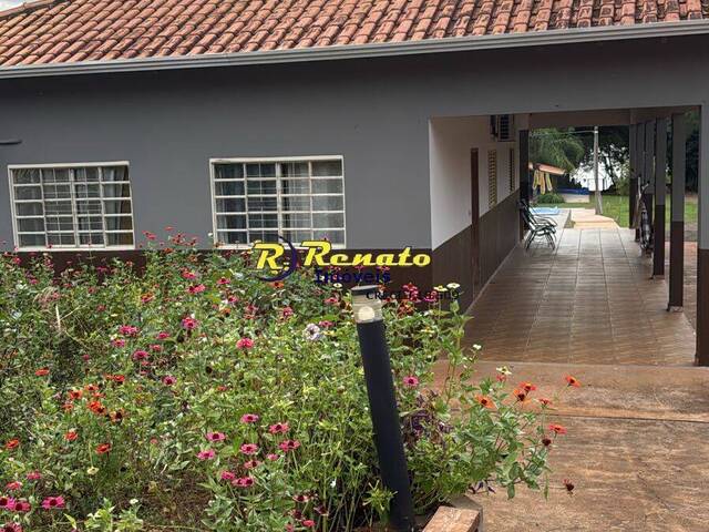 #7020 - Chácara para Venda em Sertanópolis - PR - 3