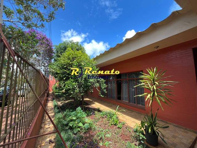 #7022 - Casa para Locação em Arapongas - PR - 2