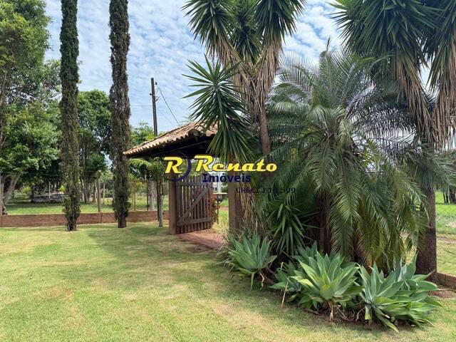 #7052 - Chácara para Venda em Sertanópolis - PR - 3