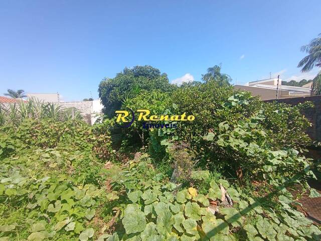 Área para Venda em Arapongas - 5