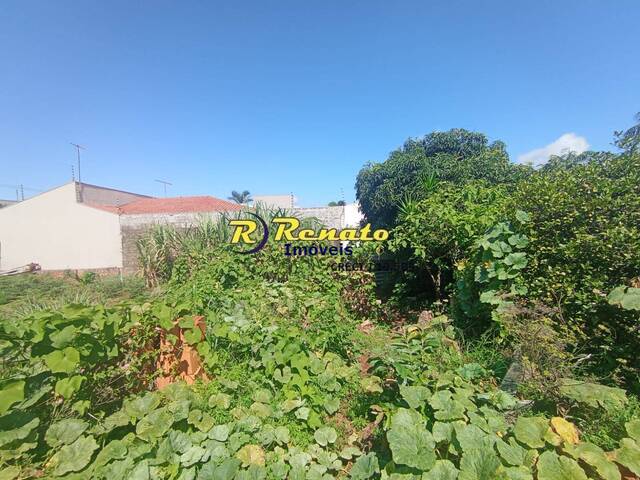 Área para Venda em Arapongas - 4