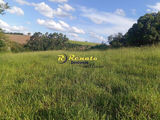 #7067 - Sítio para Venda em Arapongas - PR - 1