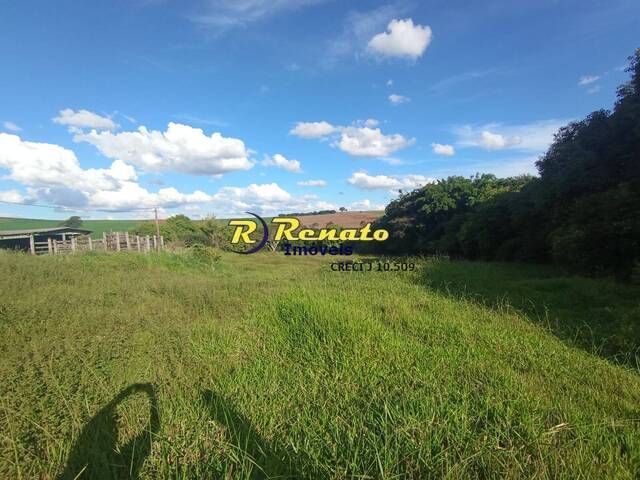 #7067 - Sítio para Venda em Arapongas - PR - 2